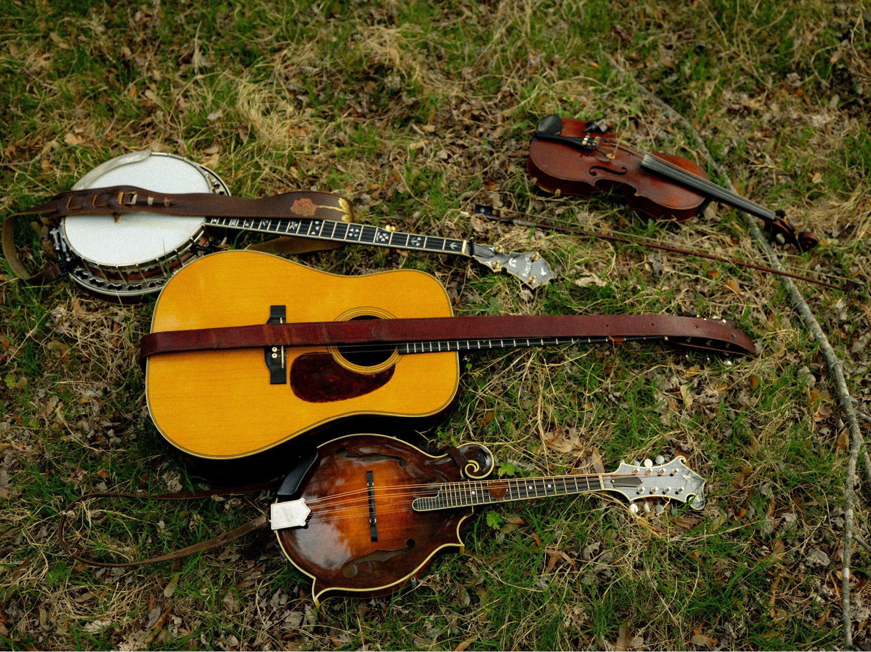 Bluegrass Express