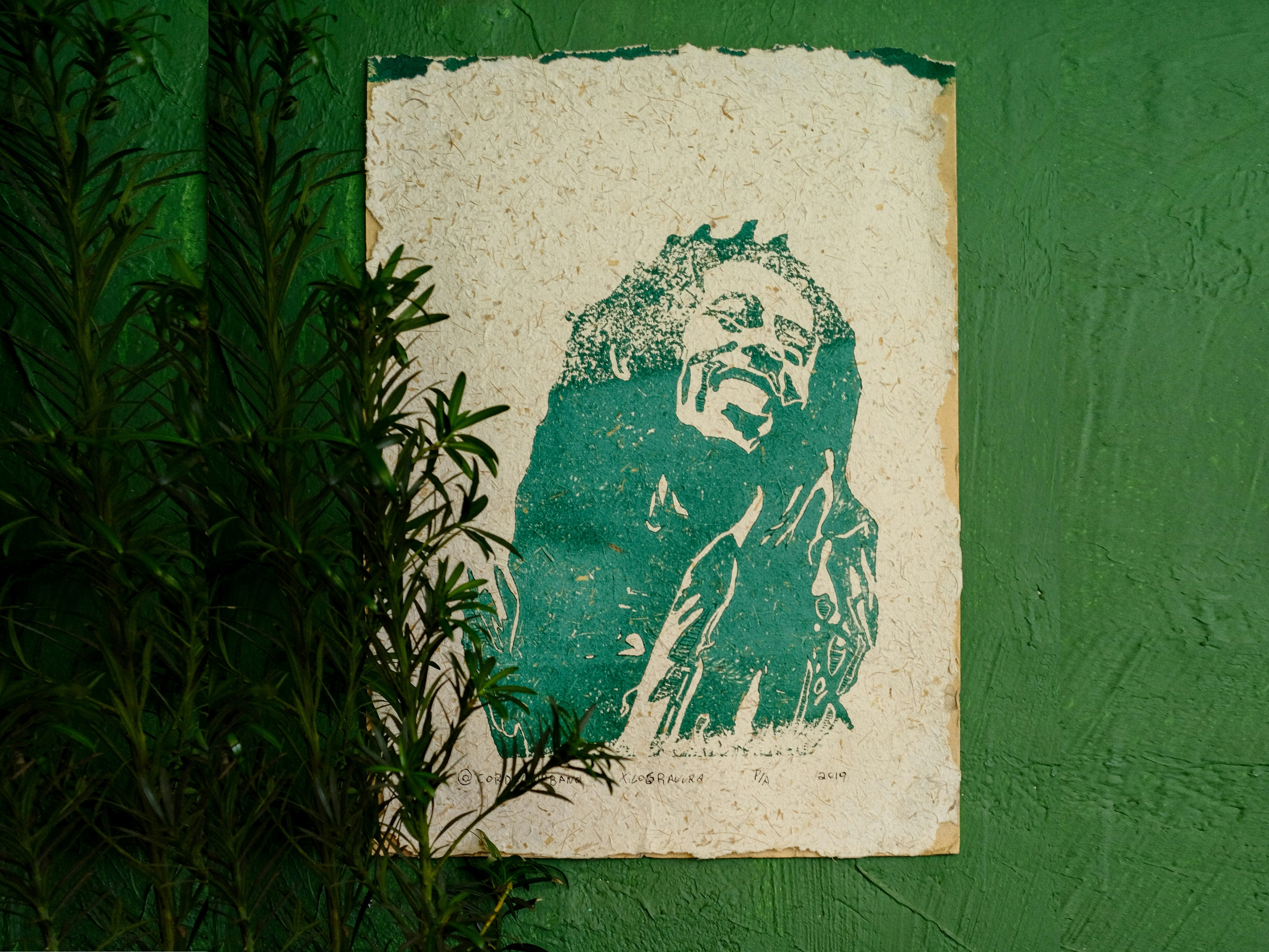 The Reggae Yard