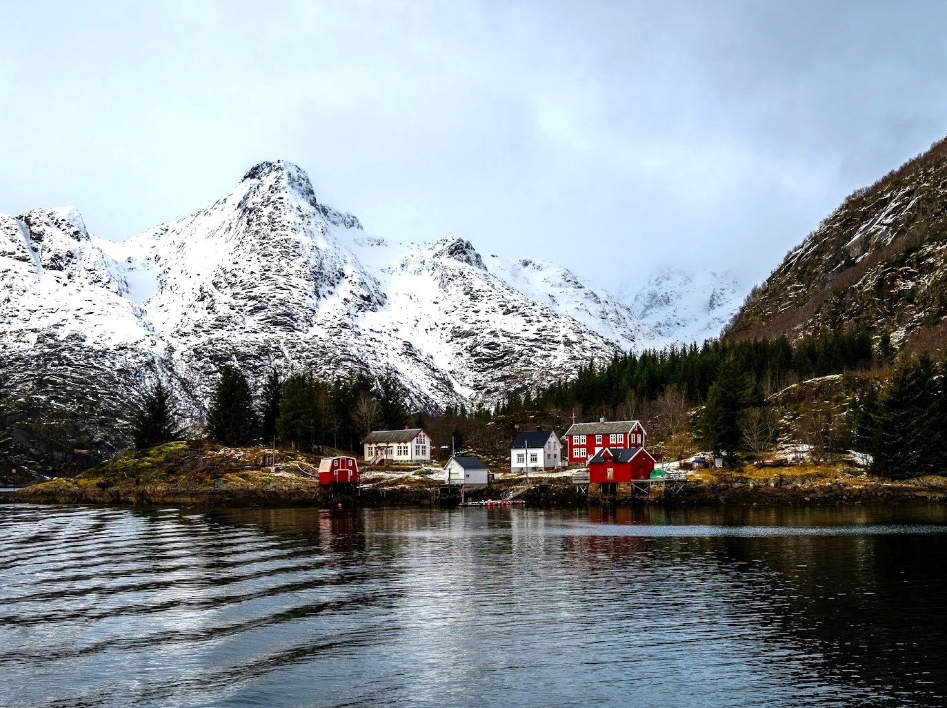 Nordic Roots and Branches