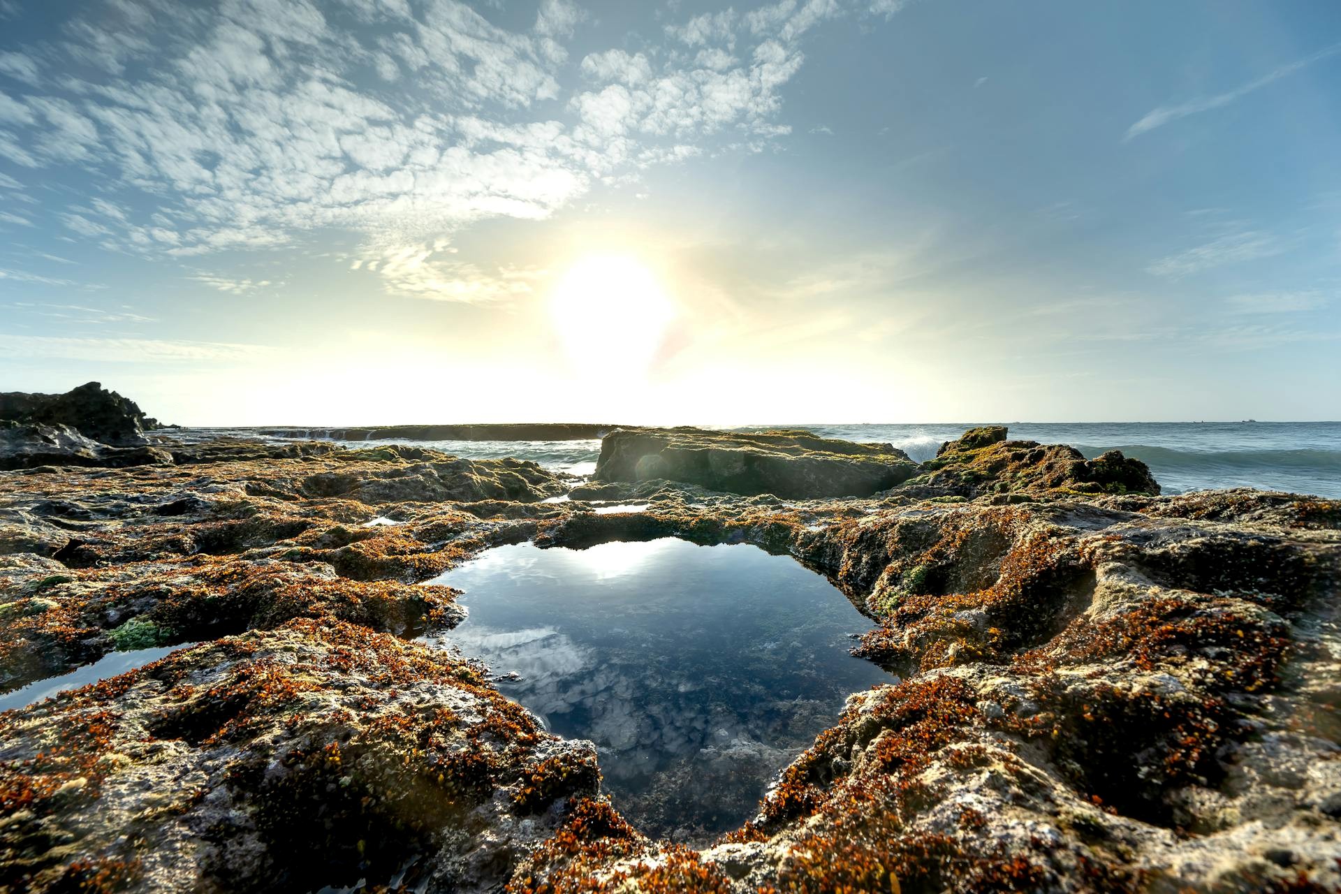 The Tide Pool