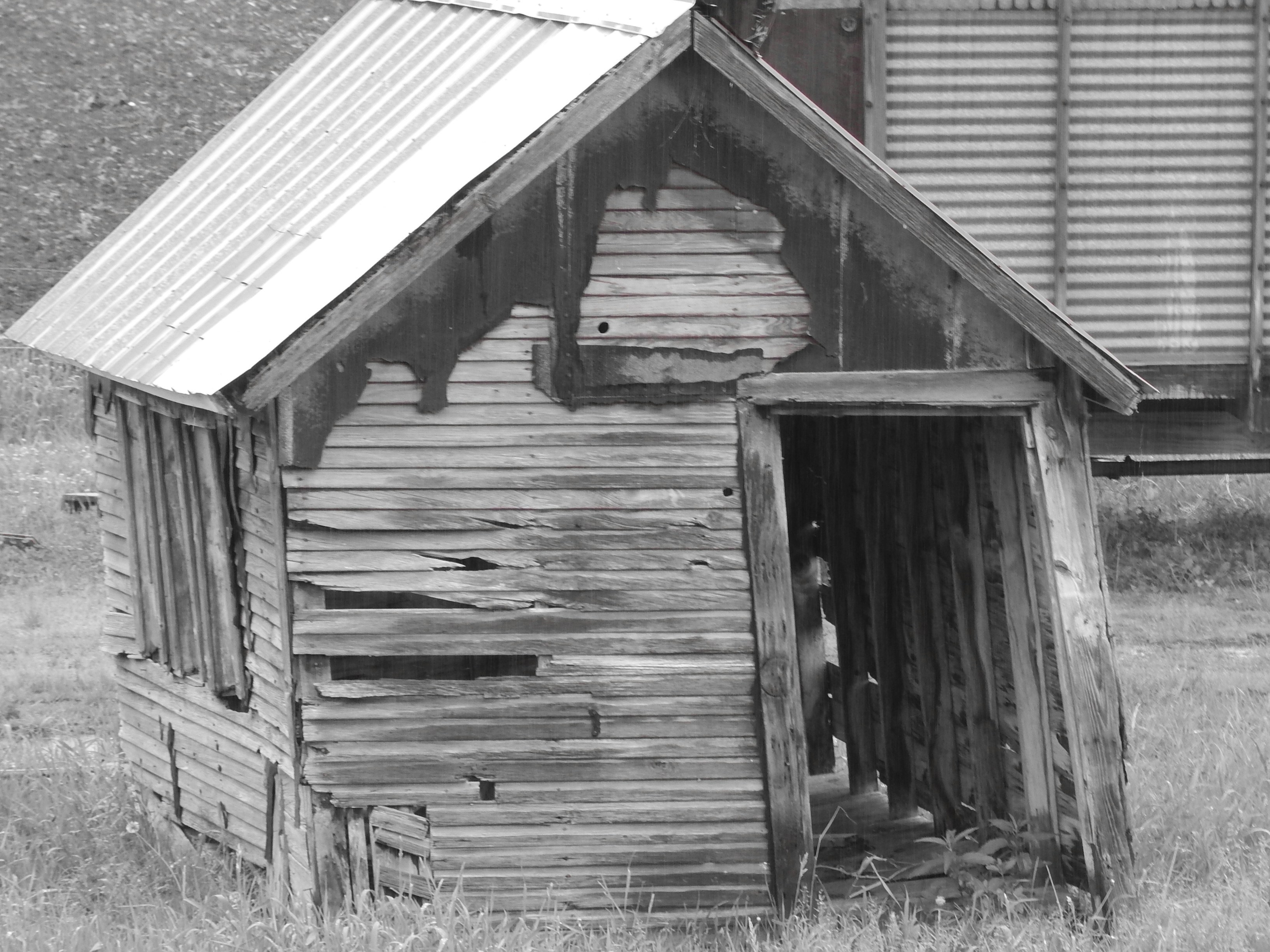 Back In The Shack
